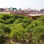vrindavan tour guide