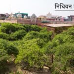 vrindavan tour guide