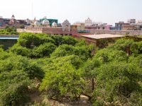 vrindavan tour guide